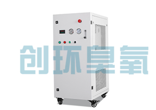 咸宁石斑鱼养殖水质调控完整指南:臭氧发生器配置与操作步骤