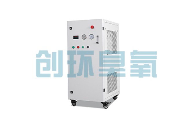 咸宁比传统换水更高效?臭氧发生器在石斑鱼养殖中的水质净化原理解析